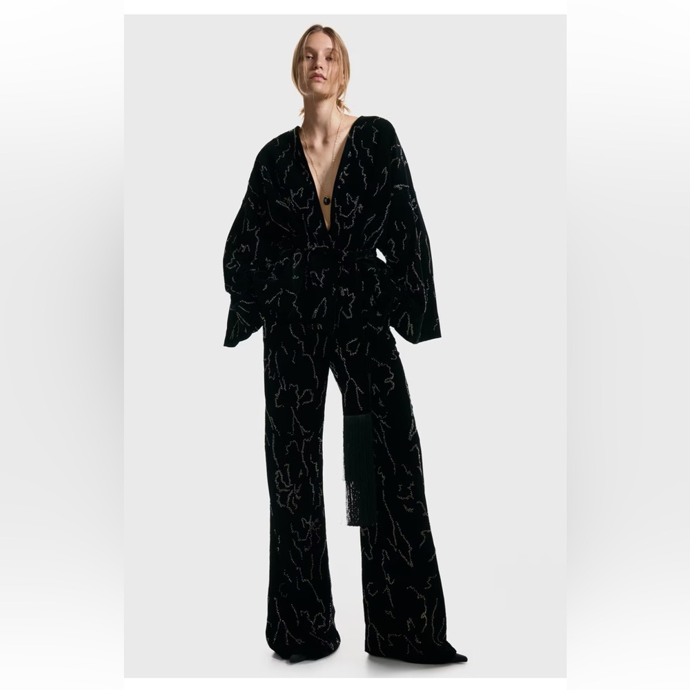 H&M EMBROIDERED VELVET PANTS